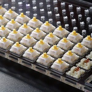 Switch Lube Station with Tray, Spring Magnet, Stem Holder & Base Housing Holder Tools Kelowna